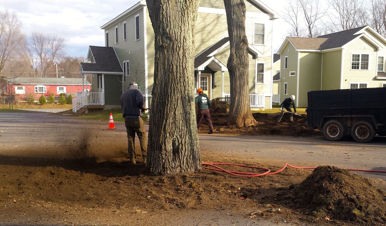 an air spade can be used to break up compacted soil around a tree's roots. 3 men on a job site