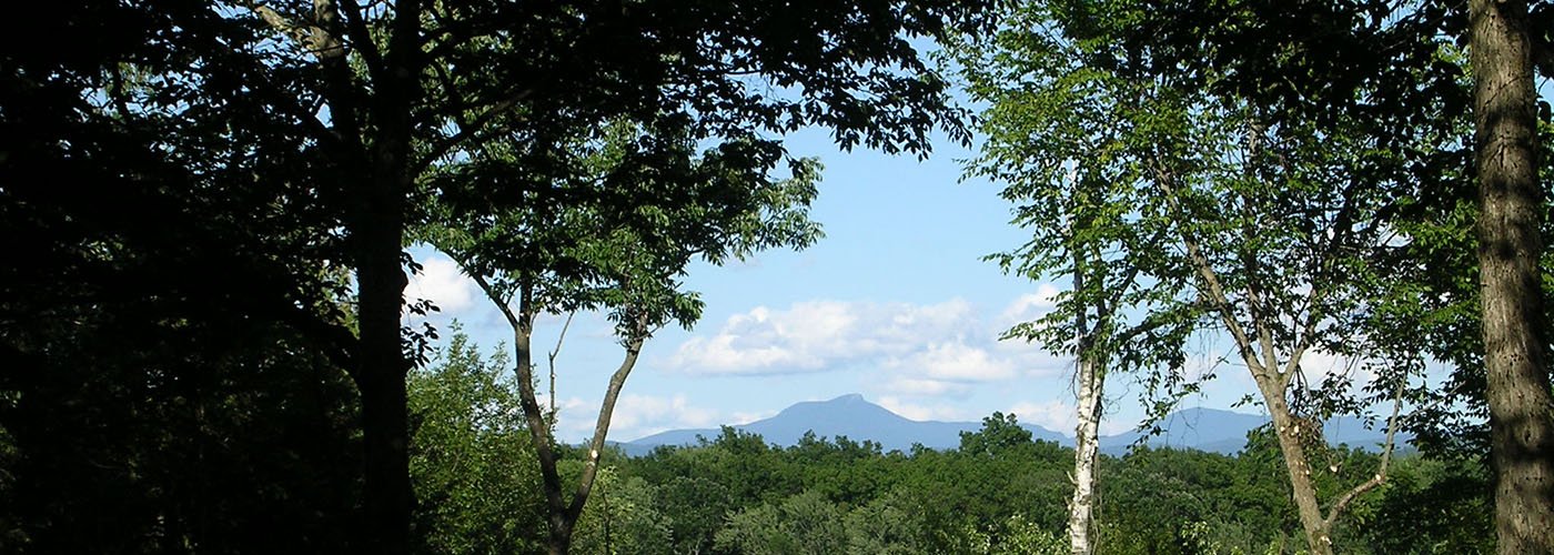 shot of a mountain top through tress and over the forest canopy