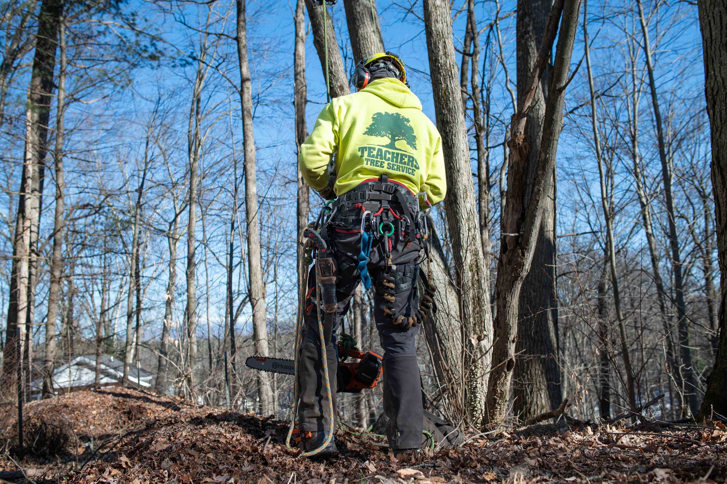 An arborist in full PPE preparing for a tree service