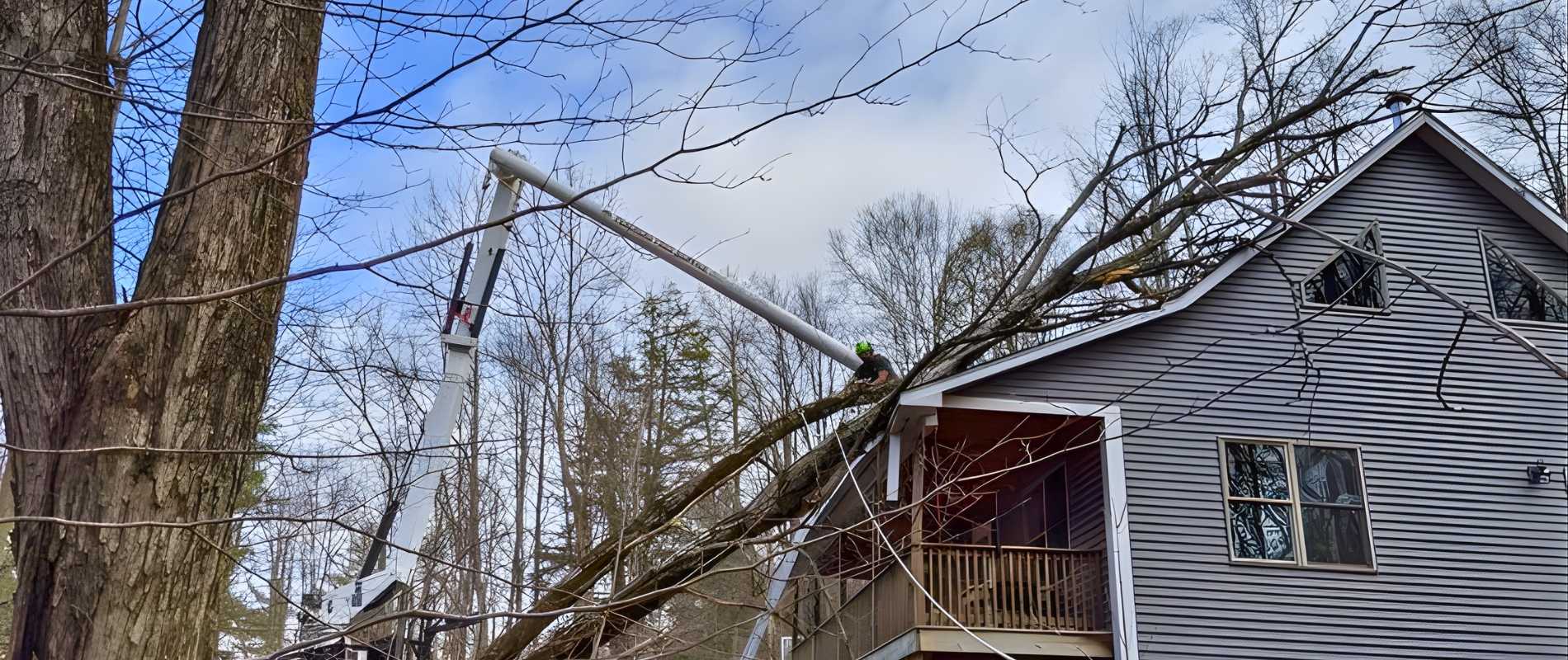 Teachers Tree Service arborist and crane removing a large tree fallen on a house roof