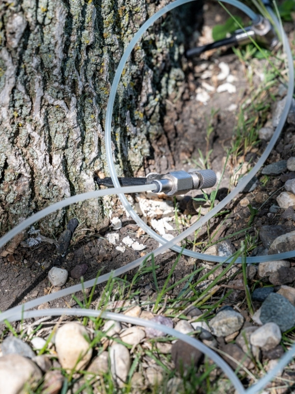 Trunk injection equipment delivering treatment into a tree base for emerald ash borer control