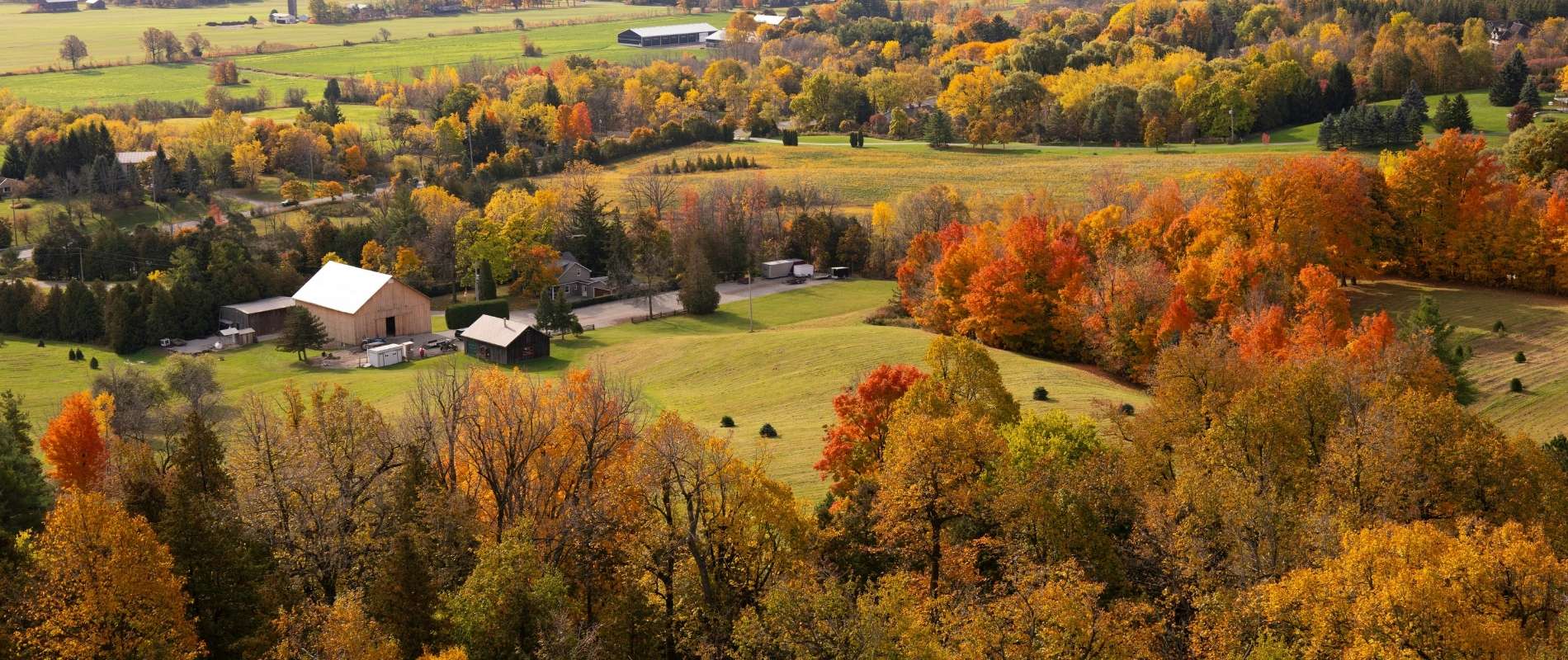 Aerial view of South Burlington, VT farmland and trees in peak fall foliage