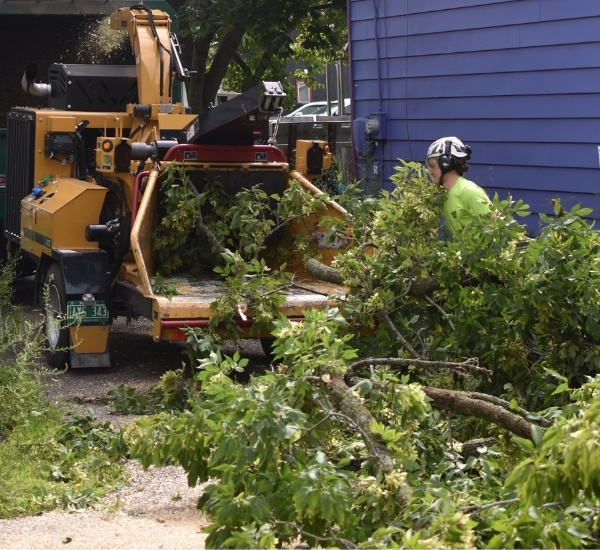 Teachers Tree Service crew member feeding tree debris into a wood chipper at a residential property