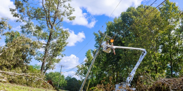 Bucket truck arborist working near utility lines after storm damage