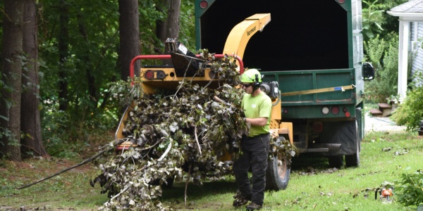 Arborist feeding fallen tree branches into a wood chipper during storm cleanup