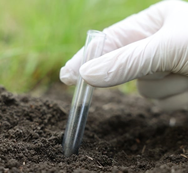 Gloved hand collecting a soil sample in a test tube for soil testing