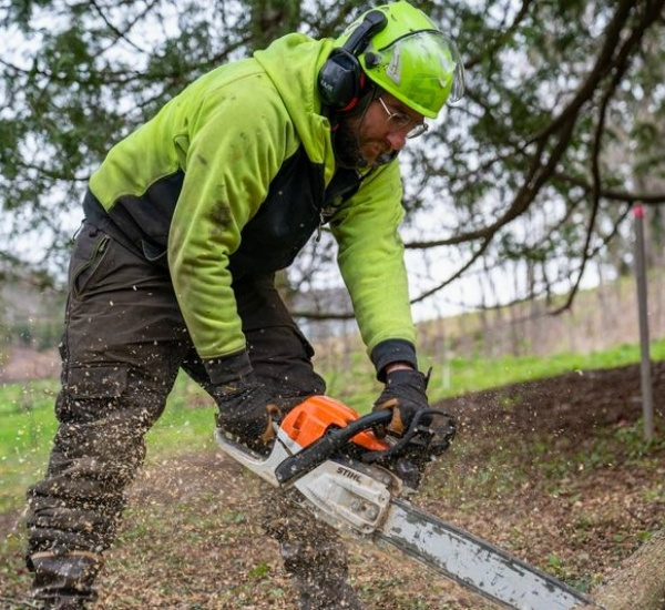 Teachers Tree Service arborist in full PPE cutting a log with a chainsaw