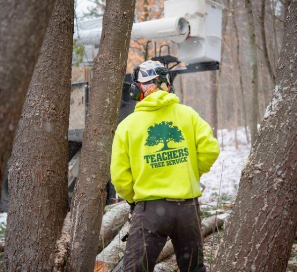 Teachers Tree Service crew member in branded hoodie working on a tree job with a bucket truck in winter conditions