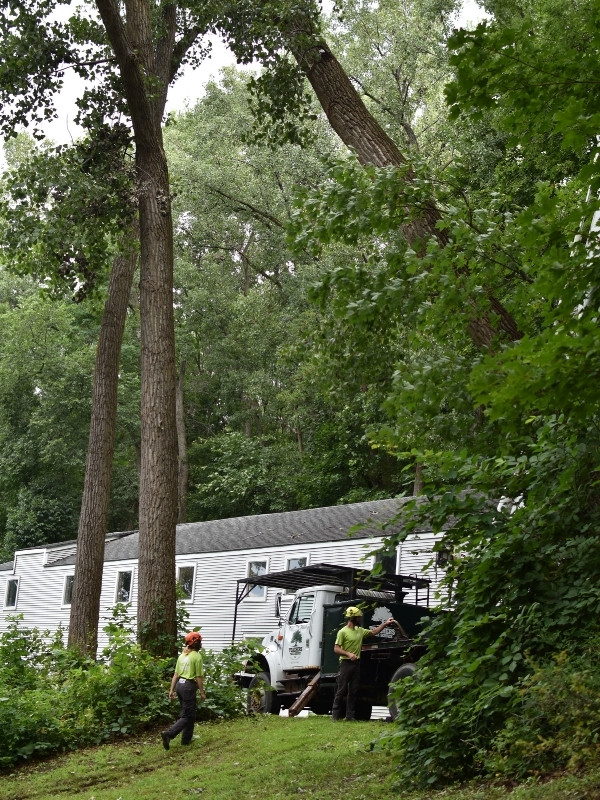 Teachers Tree Service crew and truck on a residential job site