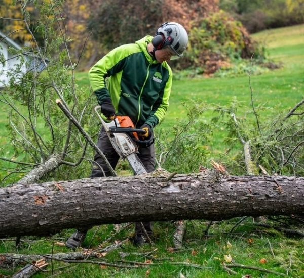 Teachers Tree Service arborist cutting a fallen tree with a chainsaw after storm damage