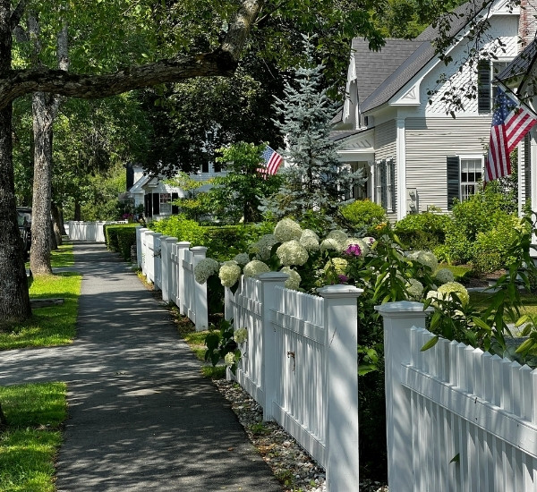 Mature shade trees and landscaped front yard along a residential Williston street