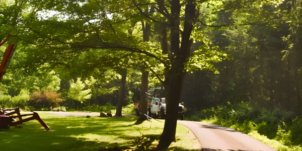 Teachers Tree Service truck performing canopy clearance pruning along a roadside property
