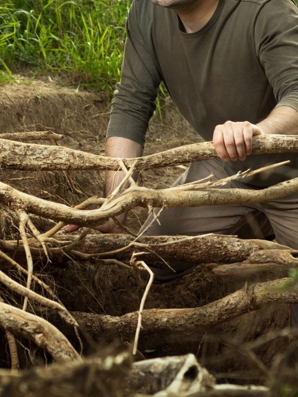 Arborist examining exposed tree roots during a root system assessment