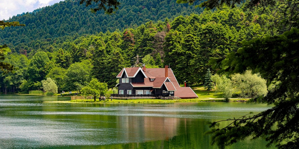 Lakeside home surrounded by lush forest on Lake Champlain, Vermont
