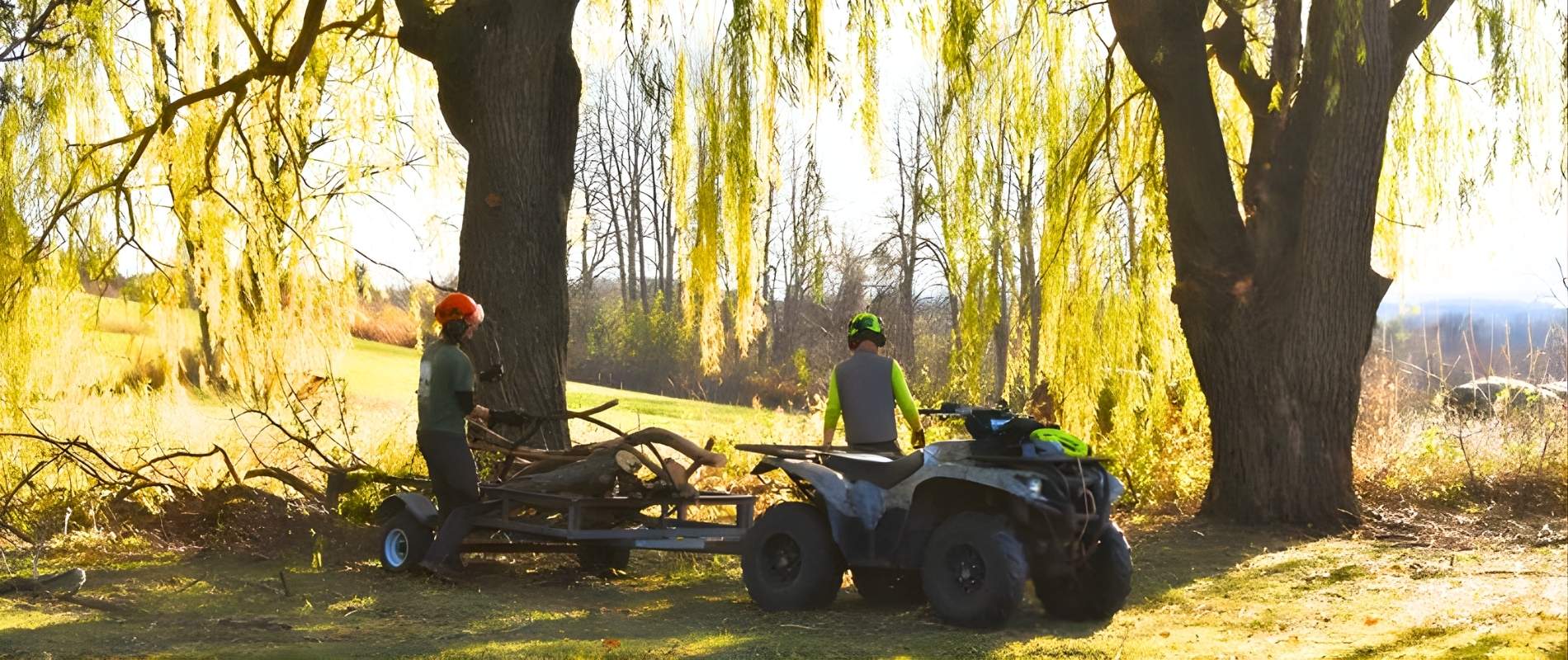 Teachers Tree Service crew using an ATV and trailer for woodlot management