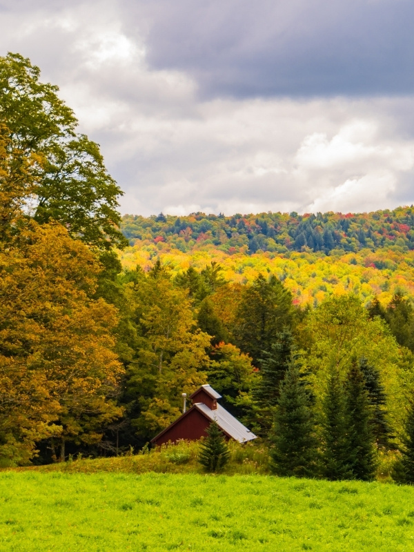 Red barn nestled among trees with a colorful autumn forest in the background