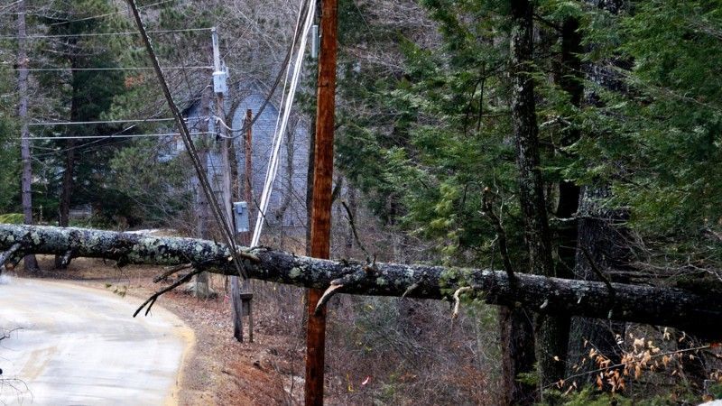A fallen tree draped across power lines over a rural road, with a house in the background.