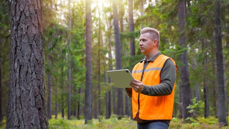 An arborist in a hi-vis vest inspecting a tree trunk while taking notes on a tablet in a forest.