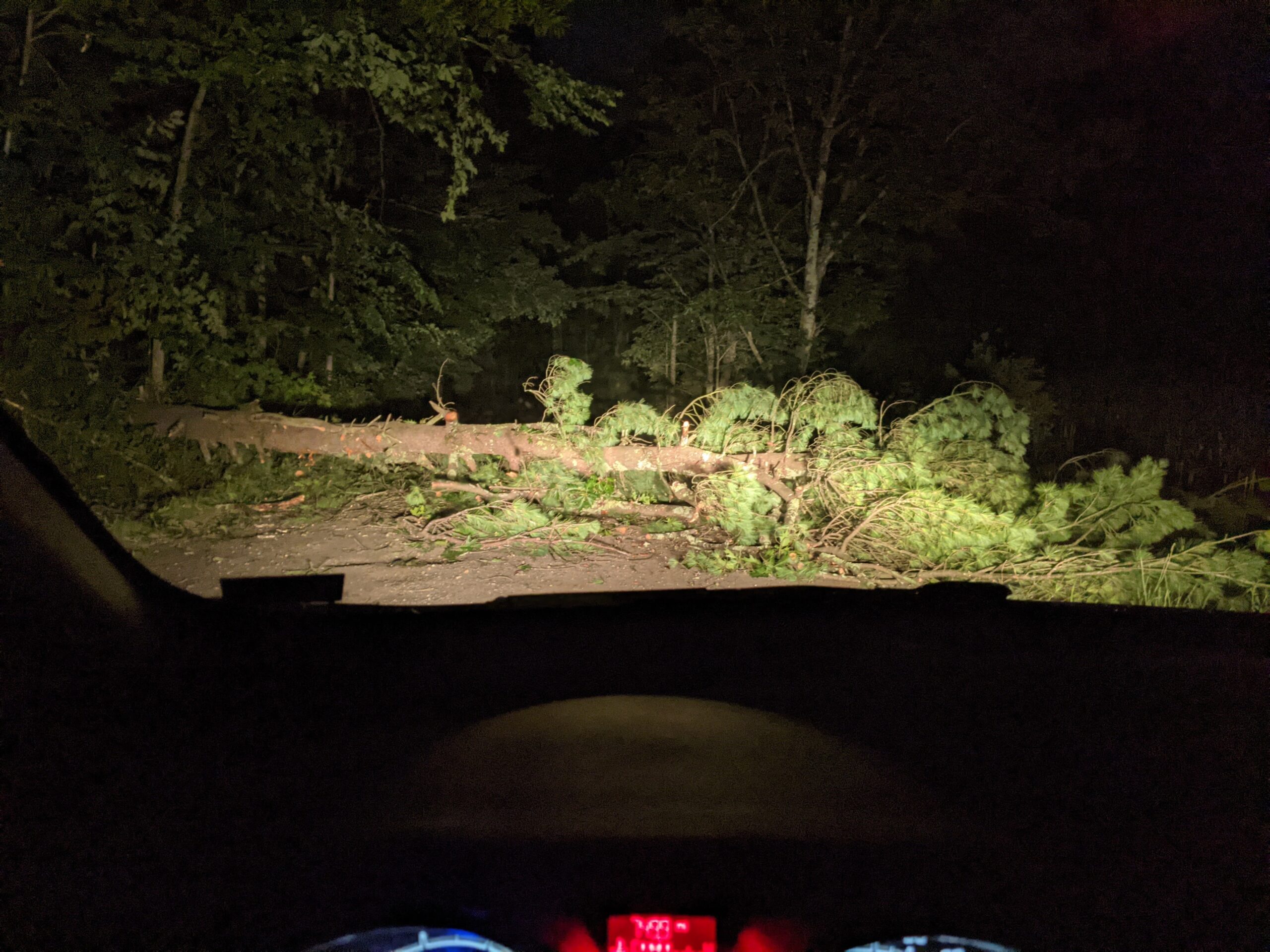 A fallen tree in the middle of the road after a storm