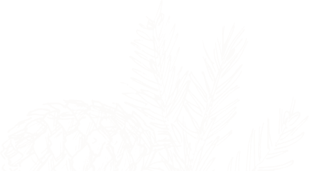 image (3)