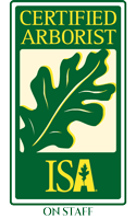 isa certified arborists on staff