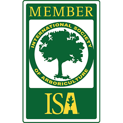 isa member