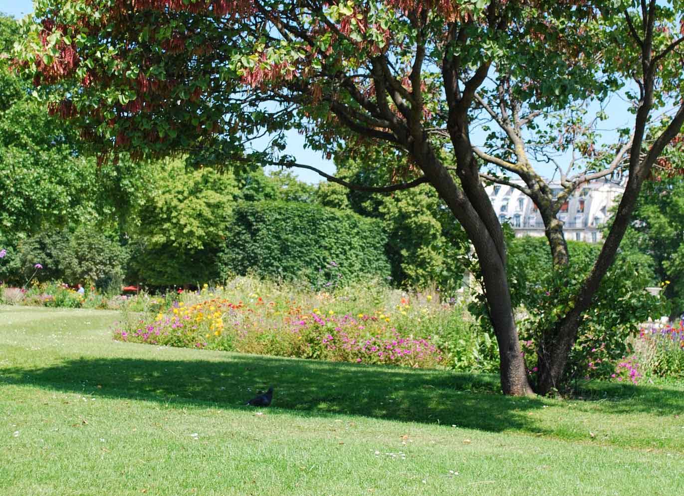 Healthy tree and vibrant lawn in a flower-filled spring landscape, ideal example of growth supported by tree and shrub fertilization