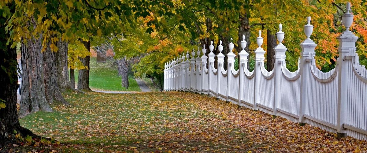 White picket fence along a tree-lined Vermont lawn during peak fall foliage.